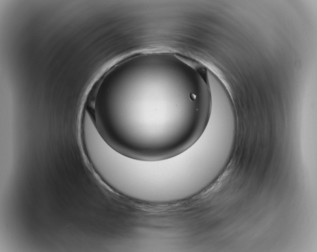 X0000095961485200801251140