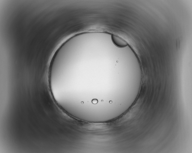 X0000095961486200801251140