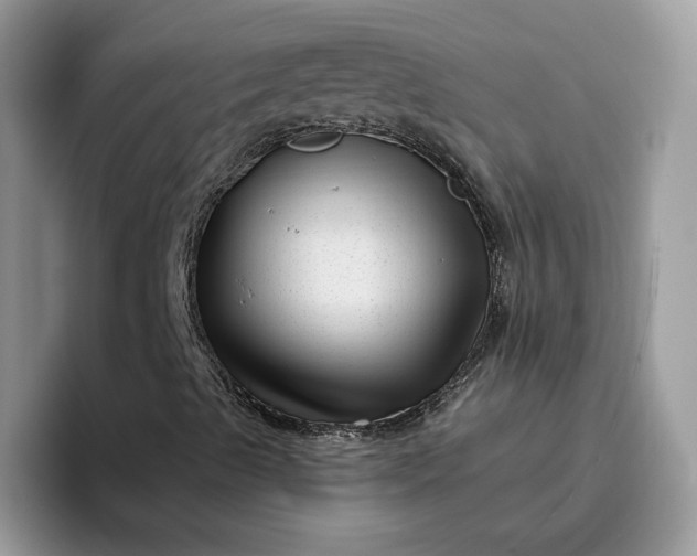 X0000095961489200801251139