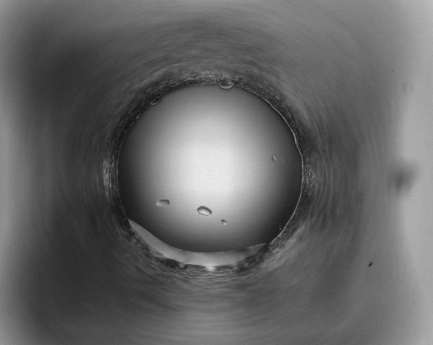 X0000095961490200801251139