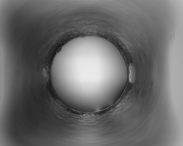 X0000095961491200801251139