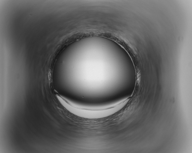 X0000095961492200801251139