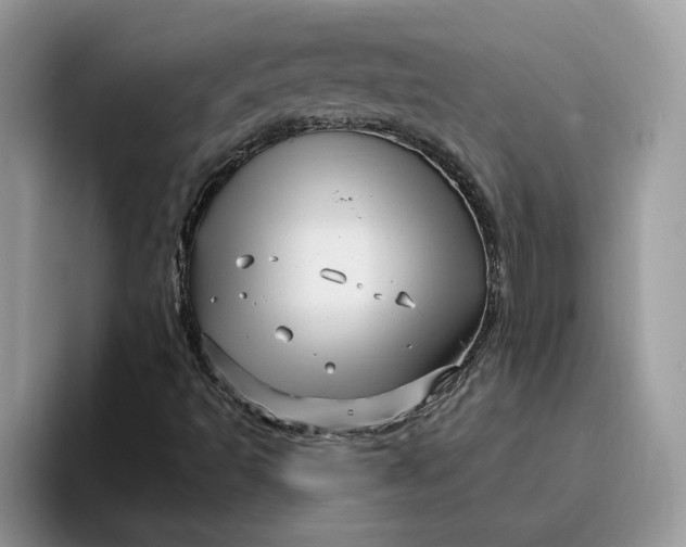 X0000095961493200801251139