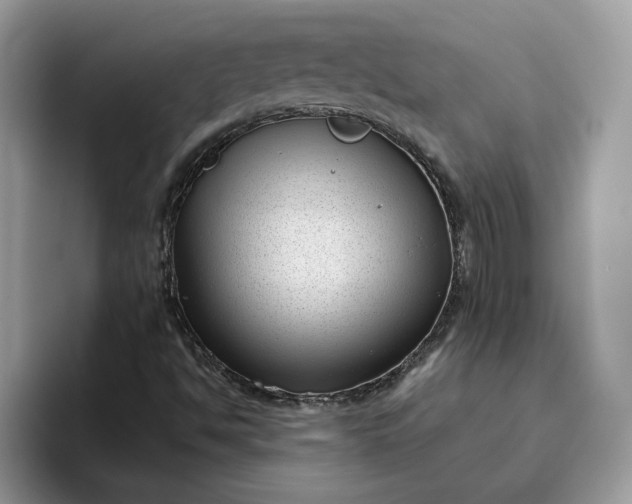 X0000095961494200801251139