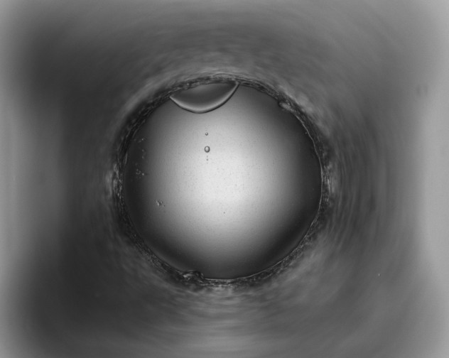 X0000095961495200801251139