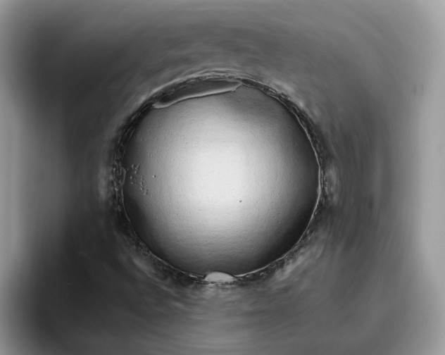 X0000095961496200801251139