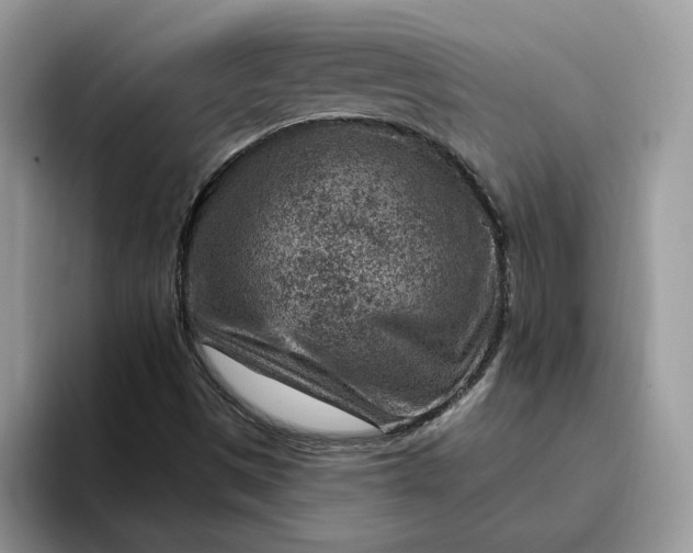 X0000095961497200801251139