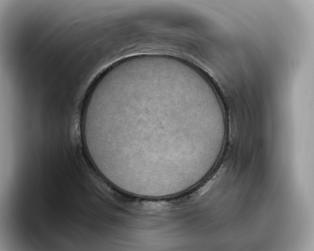 X0000095961498200801251139