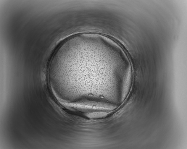 X0000095961499200801251139