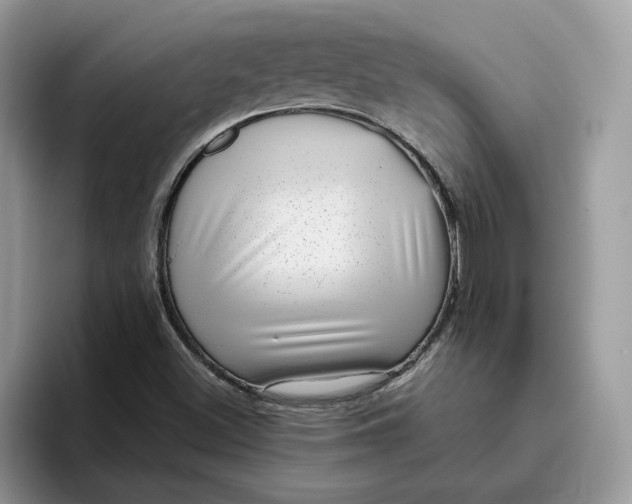 X0000095961500200801251139