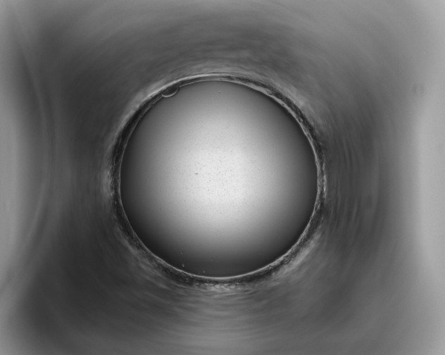 X0000095961501200801251139