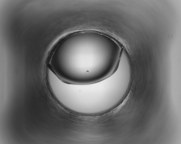 X0000095961502200801251139