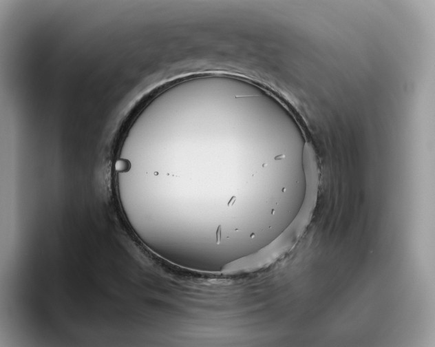 X0000095961503200801251139