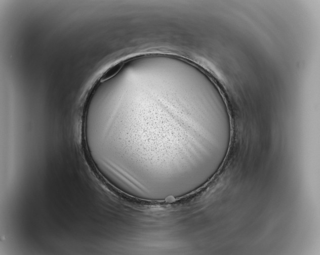 X0000095961504200801251139