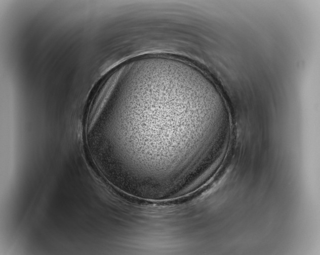 X0000095961505200801251139