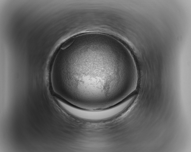 X0000095961506200801251139