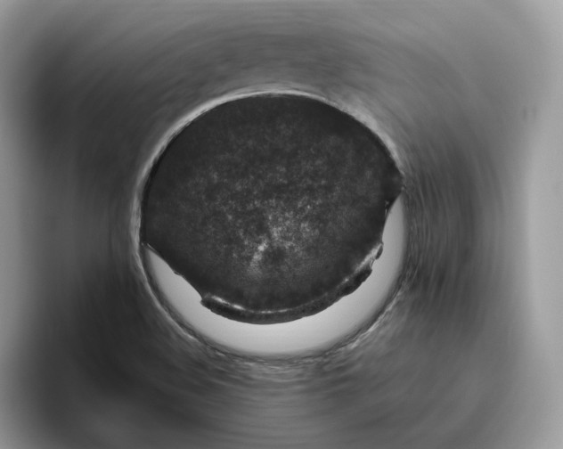 X0000095961508200801251139