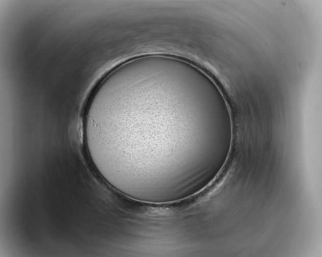 X0000095961509200801251140