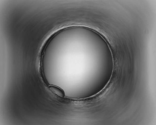 X0000095961511200801251140