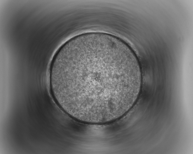 X0000095961514200801251140