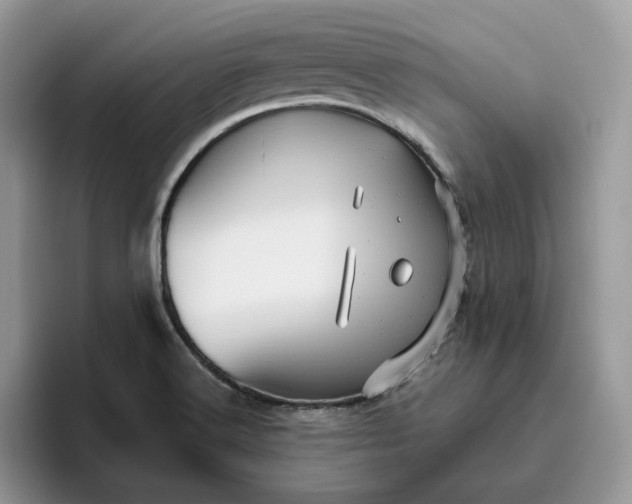 X0000095961516200801251140