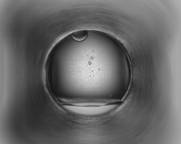 X0000095961517200801251140