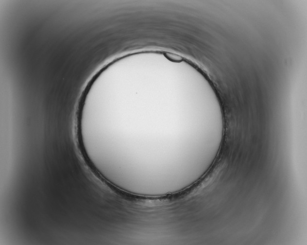 X0000095961518200801251140