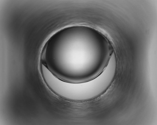 X0000095961520200801251140