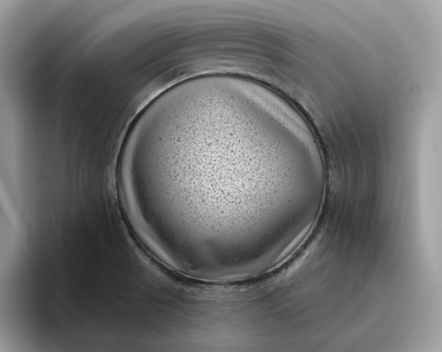 X0000095961521200801251140