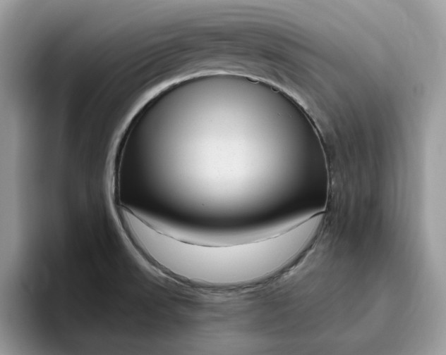 X0000095961523200801251140