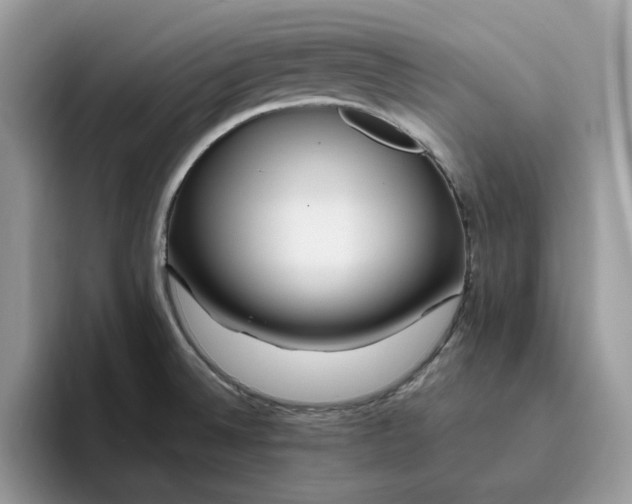 X0000095961524200801251140