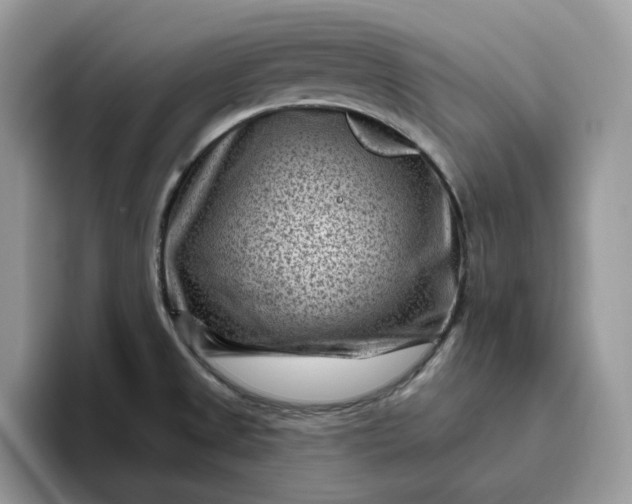X0000095961525200801251140