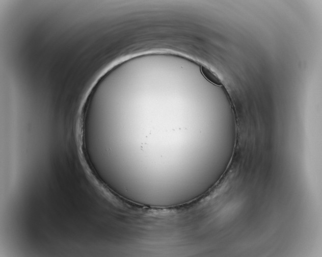 X0000095961526200801251140