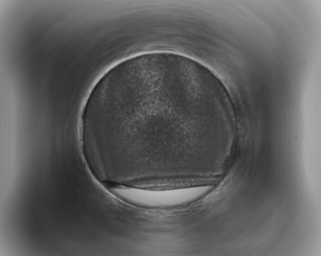 X0000095961527200801251140