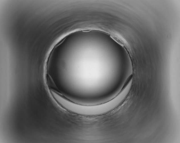 X0000095961528200801251140