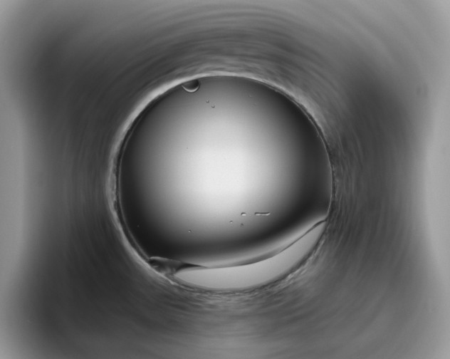 X0000095961531200801251140