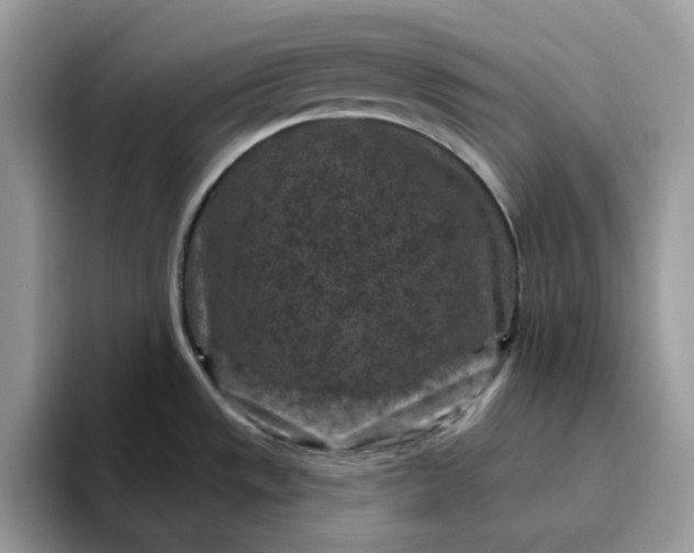 X0000095961533200801251140