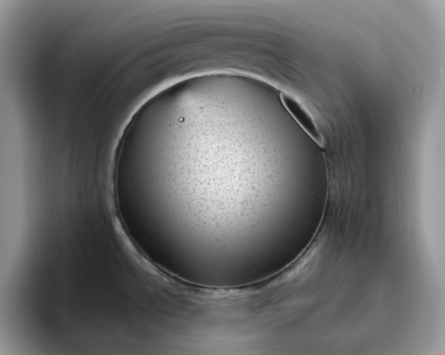 X0000095961534200801251140