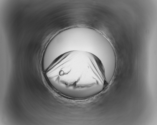 X0000095960001200802011131