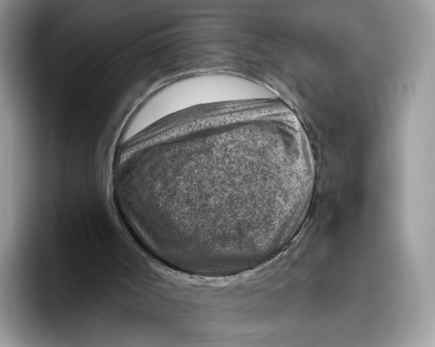 X0000095960002200802011131