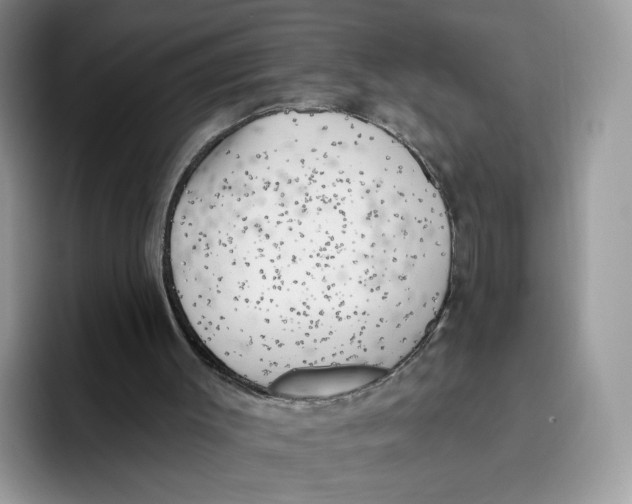 X0000095960003200802011131