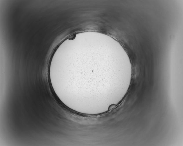 X0000095960004200802011131