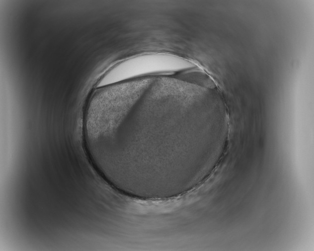 X0000095960005200802011131