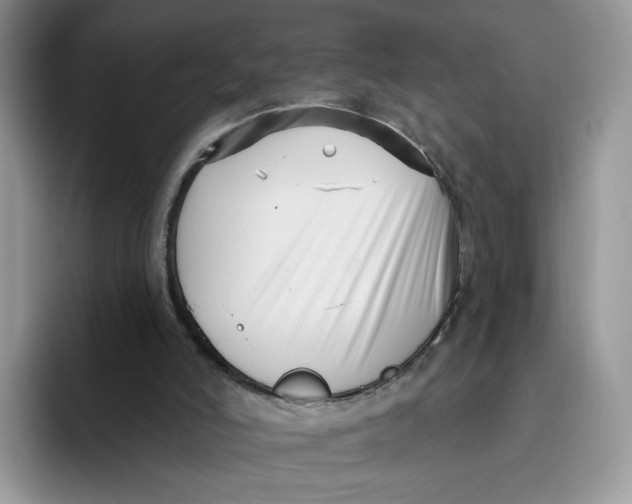 X0000095960006200802011131