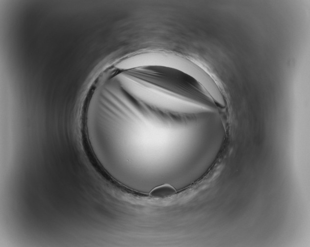 X0000095960007200802011131