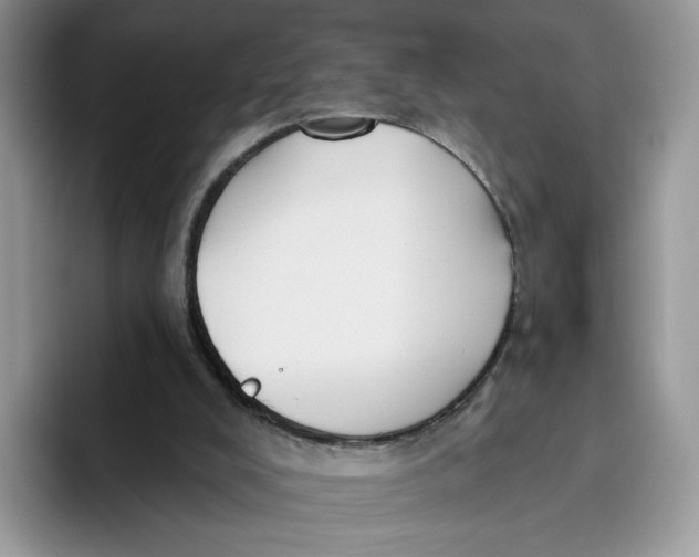 X0000095960008200802011131