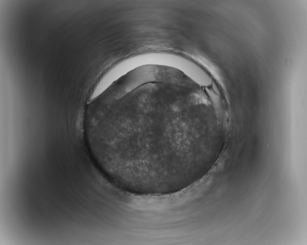 X0000095960009200802011131