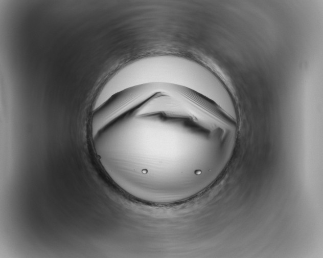 X0000095960010200802011131