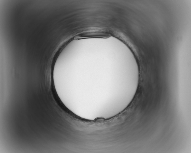 X0000095960011200802011131