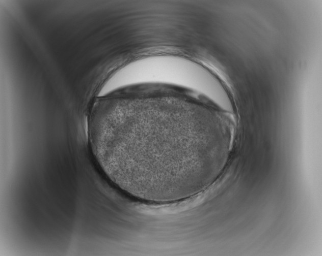 X0000095960013200802011131